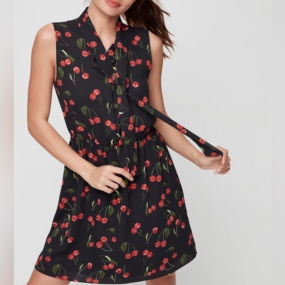Aritzia Sunday Best Cherry Print Dress Size XXS